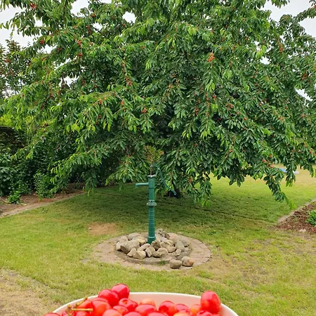 Appartement Neumuehler Hof- Stilvolle 